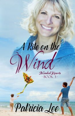 Mended Hearts #3, A Kite on the Wind