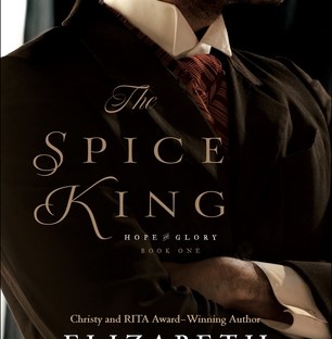 The Spice King by Elizabeth Camden