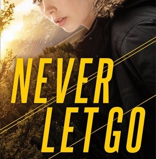 Never Let Go by Elizabeth Goddard