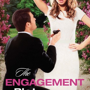 The Engagement Plot by Krista Phillips