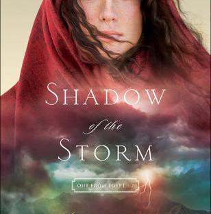 Shadow of the Storm by Connilyn Cossette