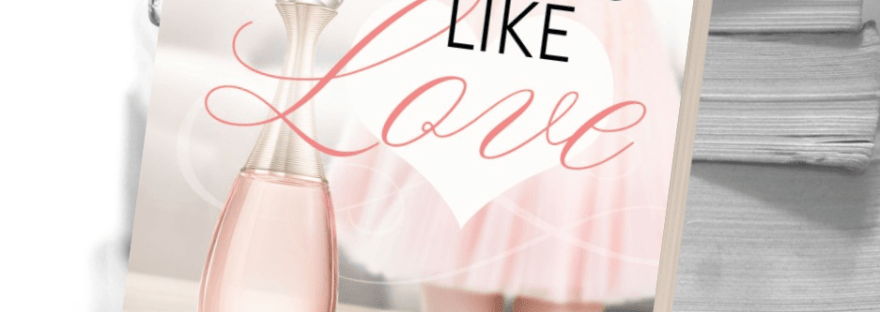 Looks Like Love excerpt by Brandy Bruce on Faithfully Bookish